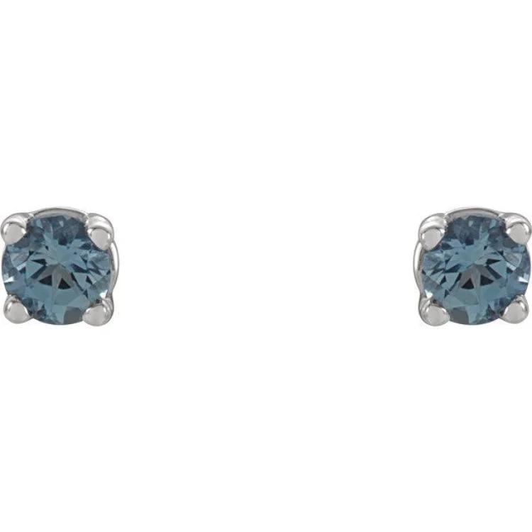 14K White 2.5 mm Natural Aquamarine Stud Earrings with Friction Post